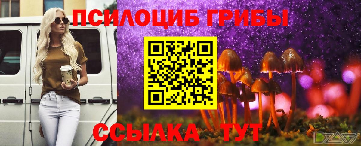 Псилоцибиновые грибы Cubensis Мирный